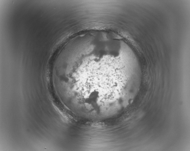 X0000075810683200609291345