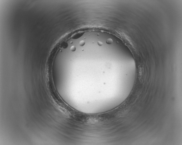 X0000075810684200609291345