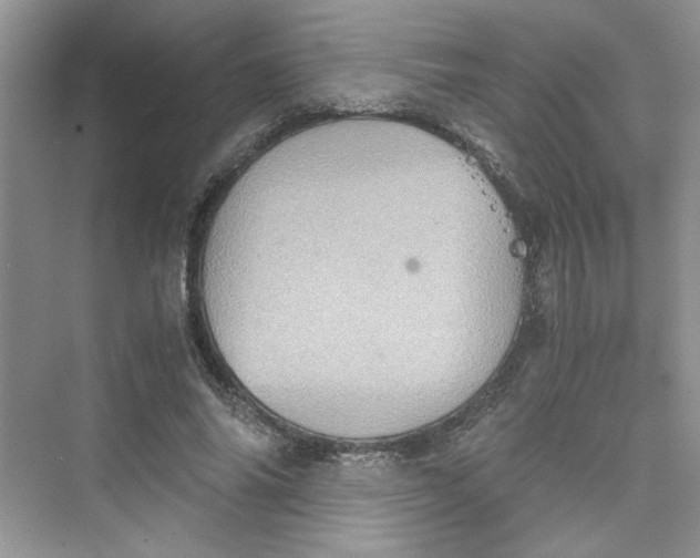 X0000075810686200609291345