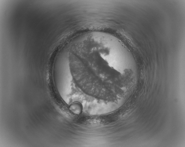 X0000075810687200609291345