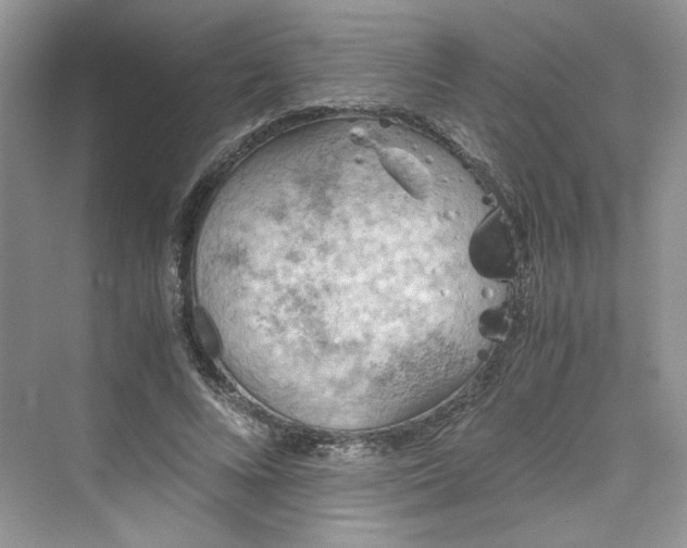 X0000075810688200609291345