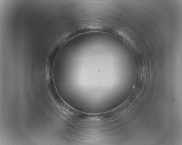 X0000075810692200609291345