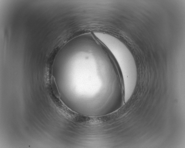 X0000075810696200609291345