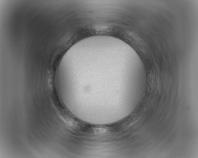 X0000075810698200609291345