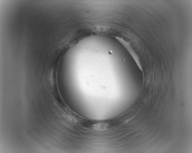 X0000075810700200609291345