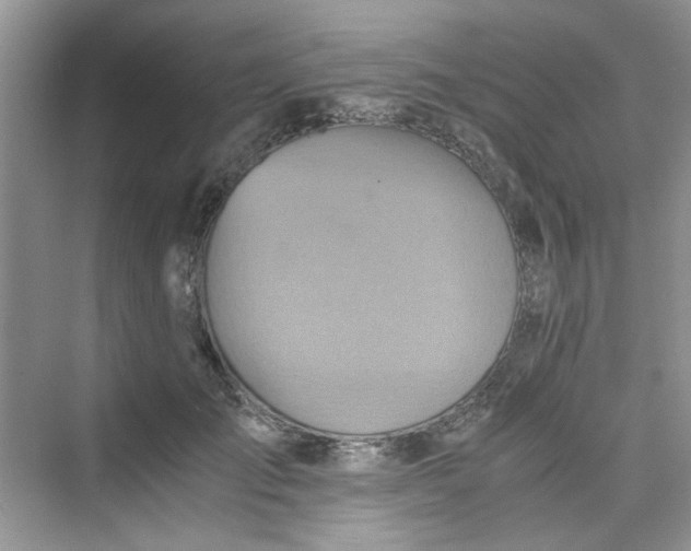 X0000075810701200609291345