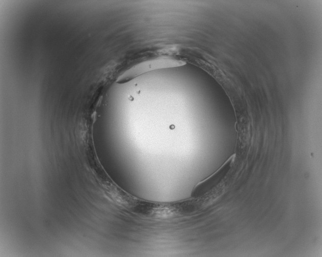 X0000075810704200609291345