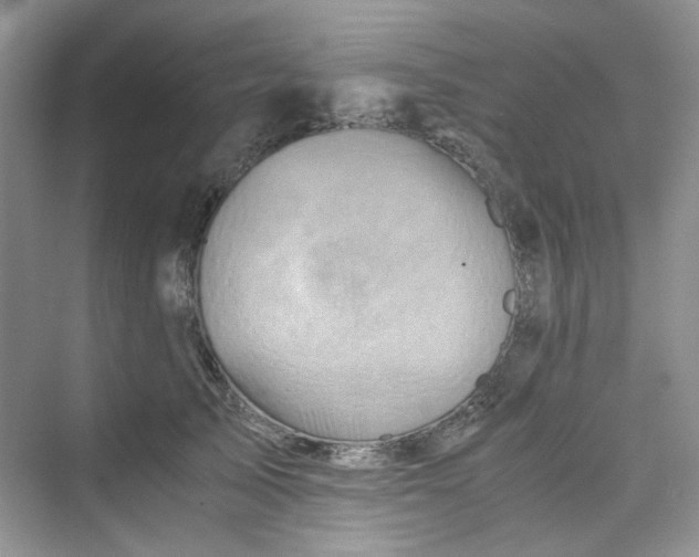 X0000075810705200609291345