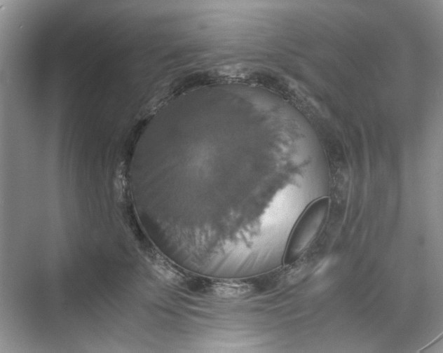 X0000075810707200609291345