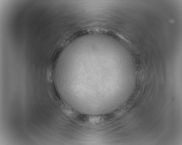 X0000075810709200609291345