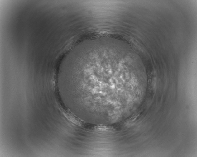 X0000075810710200609291345