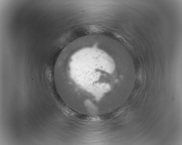 X0000075810715200609291345