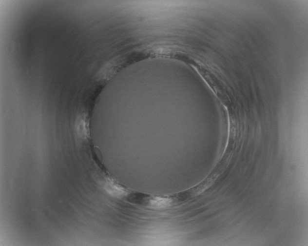 X0000075810718200609291345