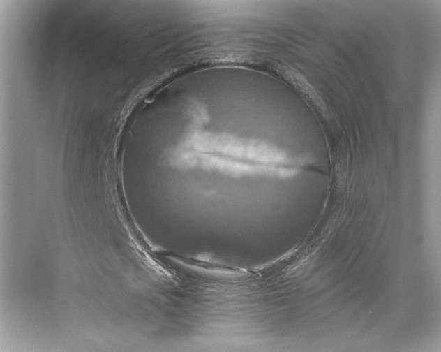 X0000075810721200609291344