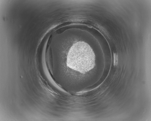 X0000075810723200609291344