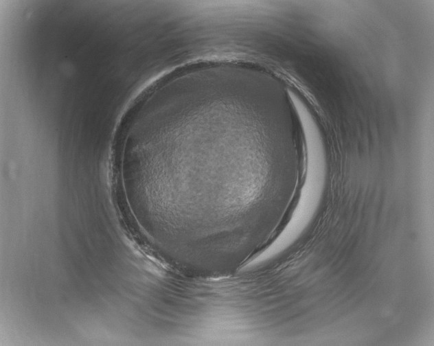 X0000075810724200609291344