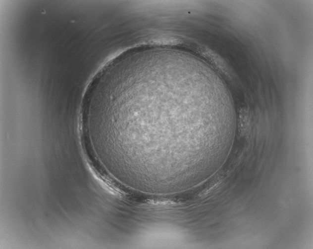 X0000075810726200609291344