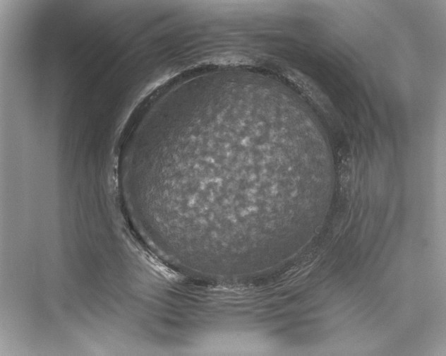 X0000075810727200609291344