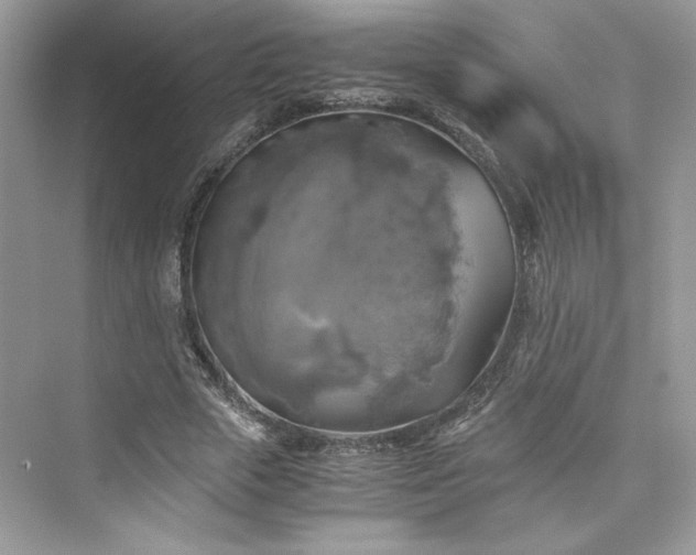 X0000075810729200609291344