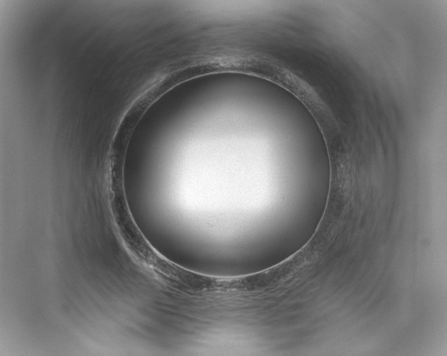 X0000075810730200609291344