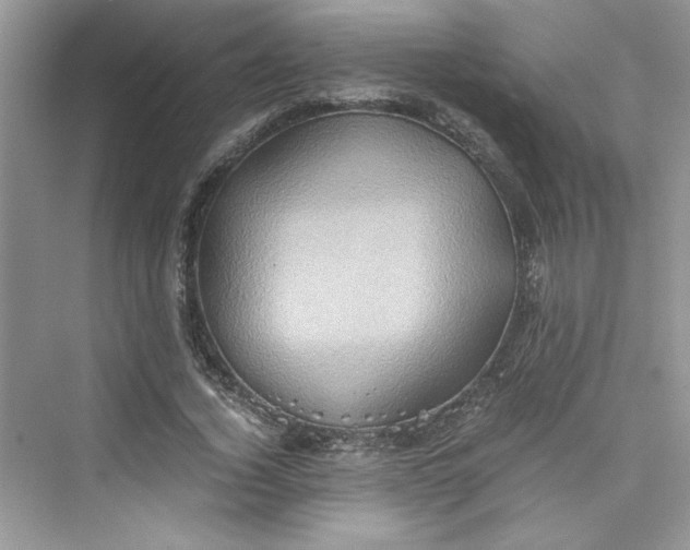 X0000075810732200609291344