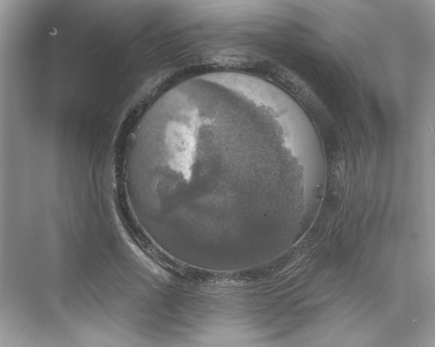 X0000075810734200609291344