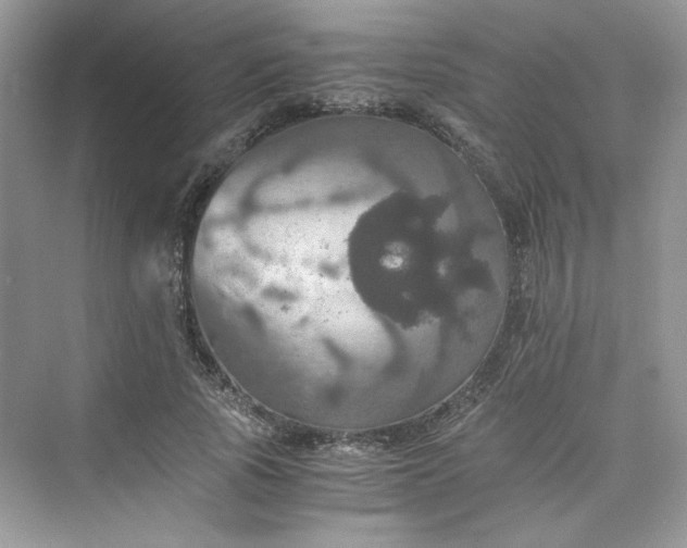 X0000075810737200609291344