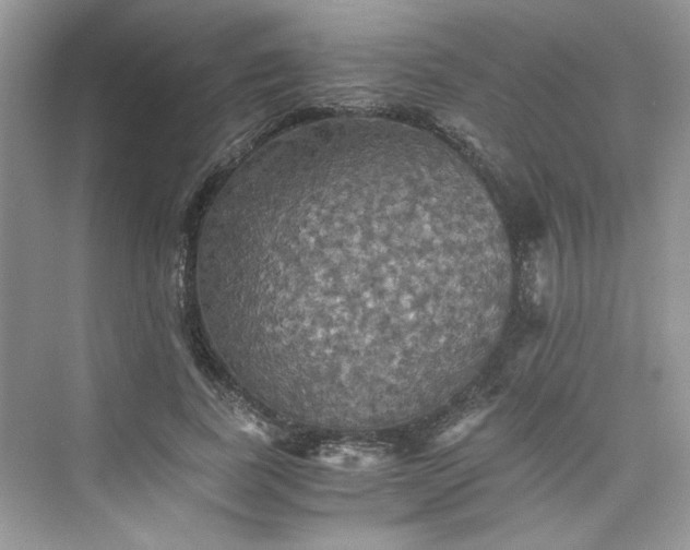 X0000075810739200609291344