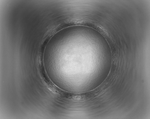 X0000075810740200609291344