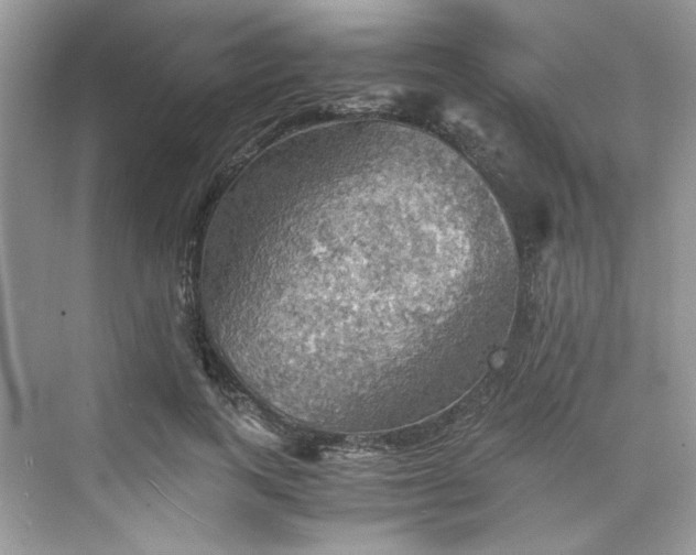 X0000075810743200609291344