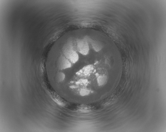 X0000075810746200609291344