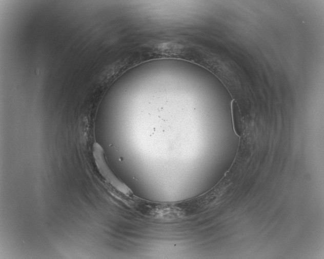 X0000075810752200609291345