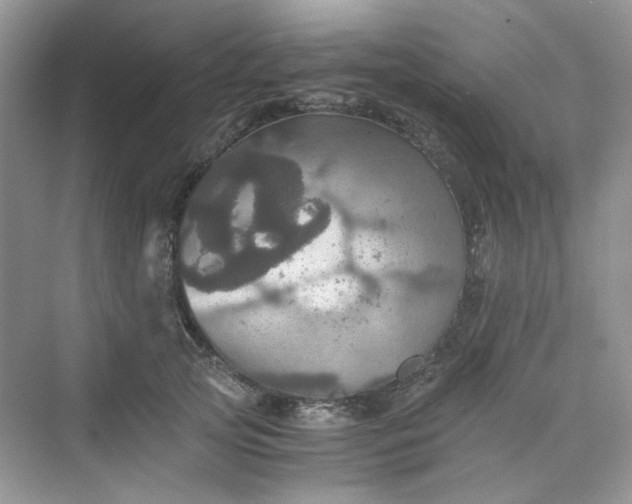 X0000075810753200609291345