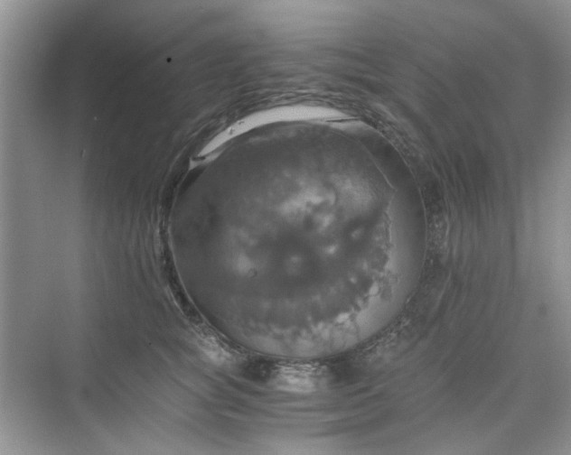 X0000075810757200609291345