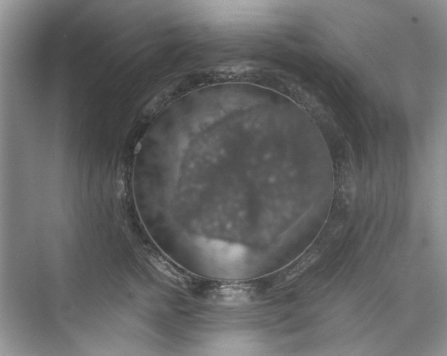 X0000075810758200609291345