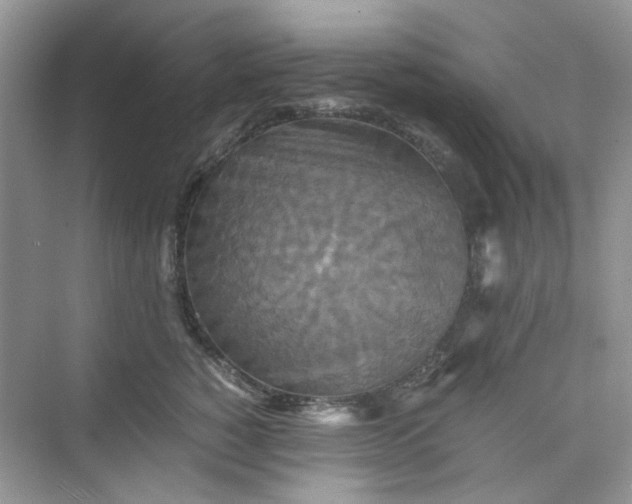 X0000075810760200609291345