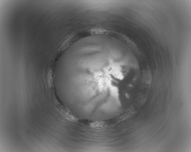 X0000075810761200609291345