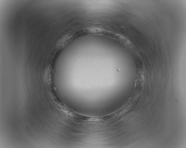 X0000075810762200609291345