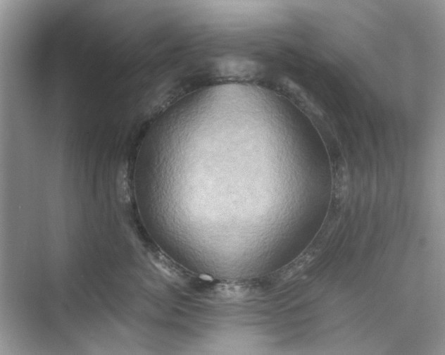 X0000075810764200609291345