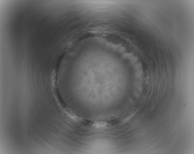 X0000075810767200609291345