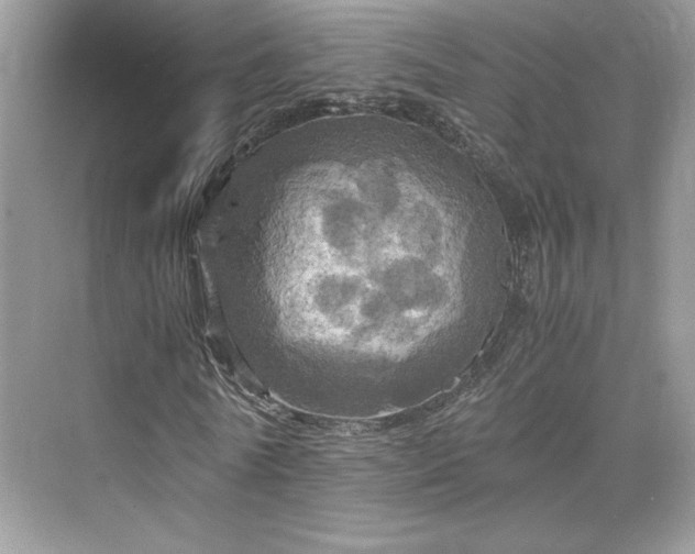 X0000075810770200609291344