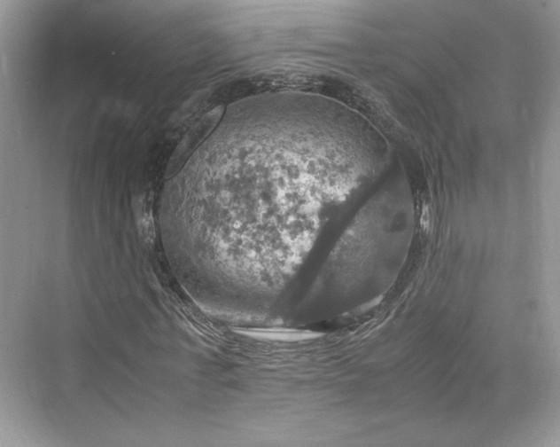 X0000075810771200609291344