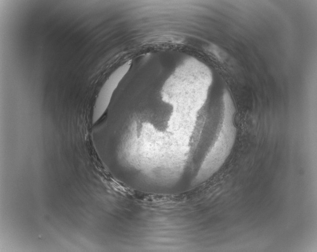 X0000075810774200609291344