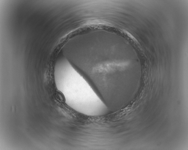 X0000075810775200609291344