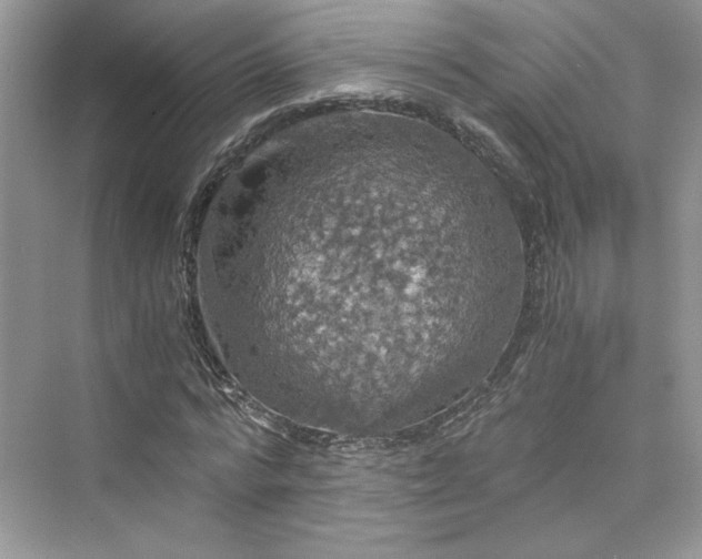 X0000075810776200609291344