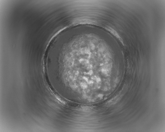 X0000075810782200609291344