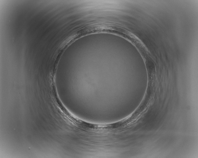 X0000075810785200609291344