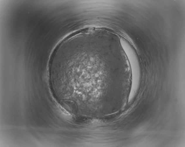 X0000075810787200609291344