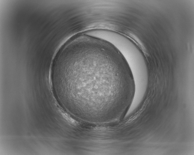 X0000075810788200609291344