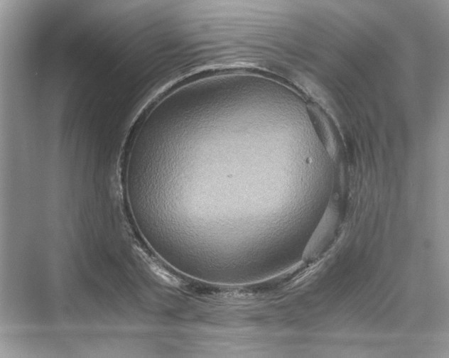 X0000075810789200609291344